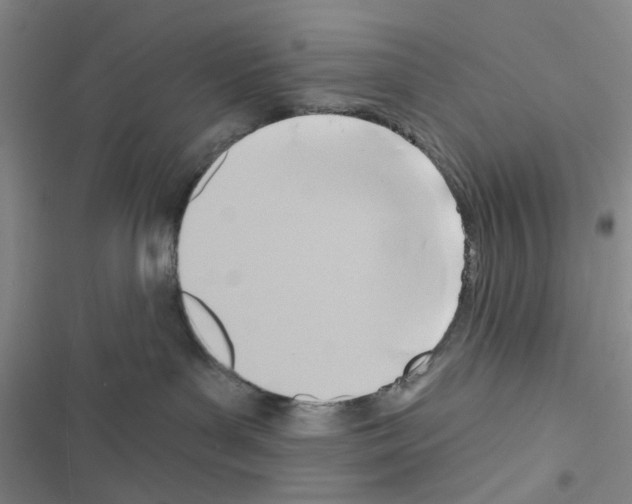 X0000116550143201001211209