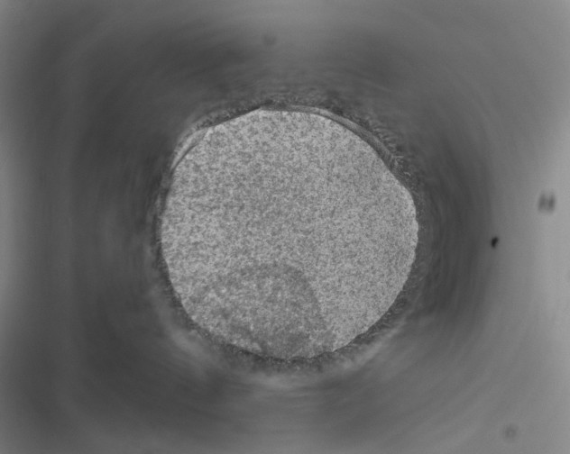 X0000116550144201001211209