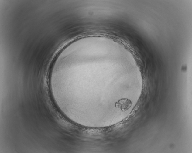 X0000116550146201001211209