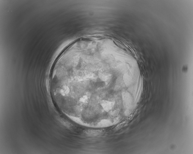 X0000116550147201001211209