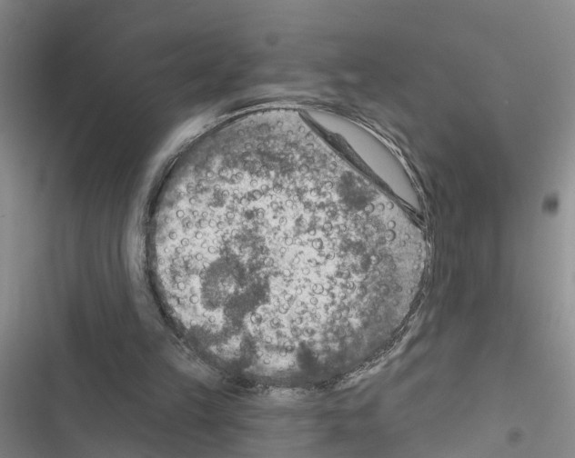 X0000116550149201001211209