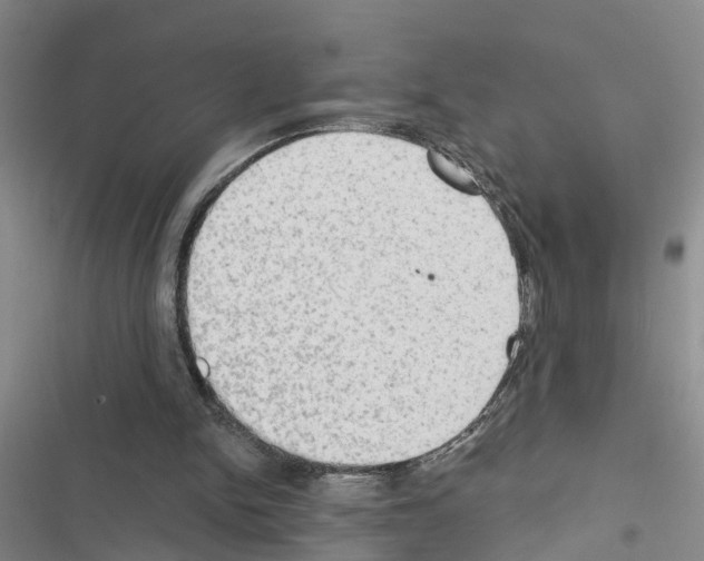 X0000116550150201001211209