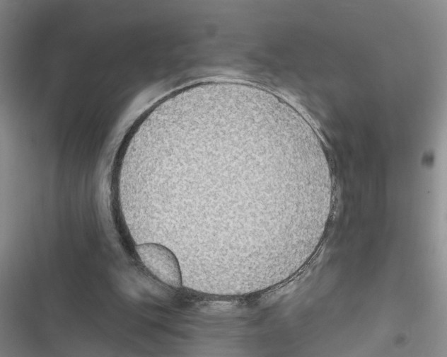 X0000116550151201001211209