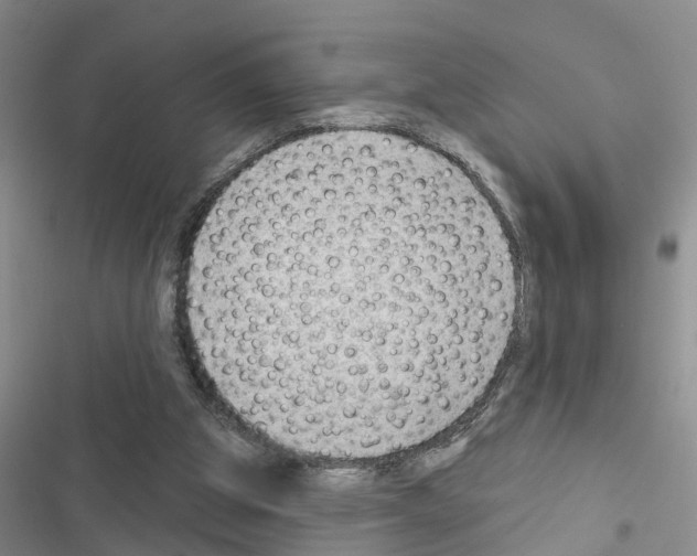 X0000116550153201001211209