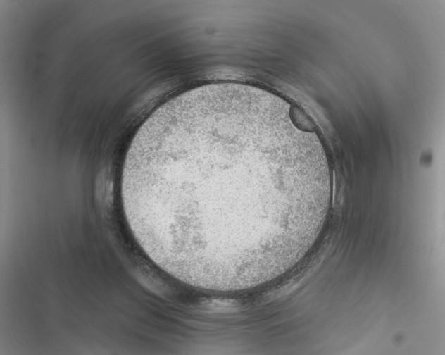 X0000116550157201001211209