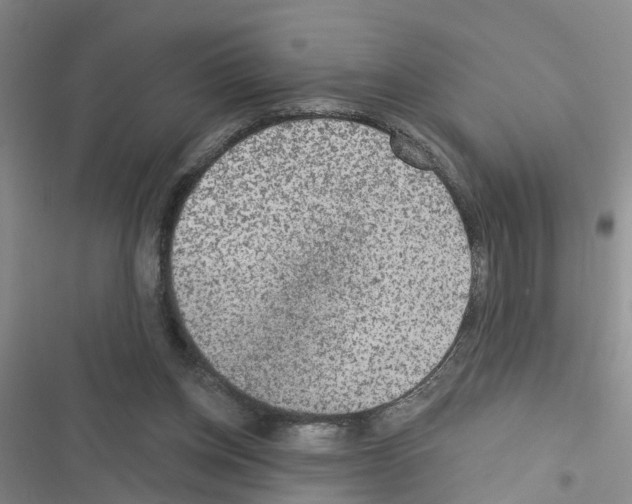 X0000116550158201001211209