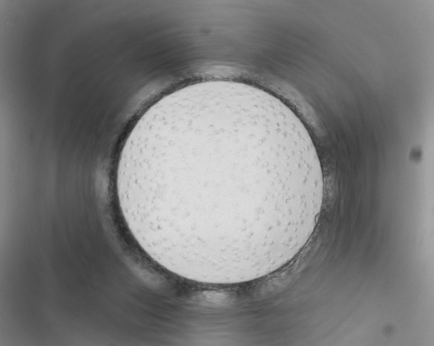 X0000116550159201001211209