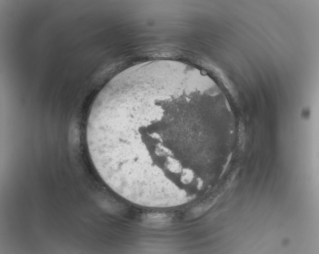 X0000116550161201001211209