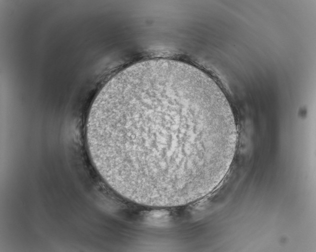 X0000116550162201001211209