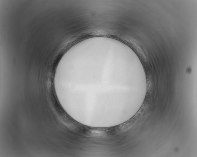 X0000116550167201001211209