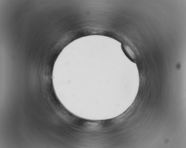 X0000116550170201001211209