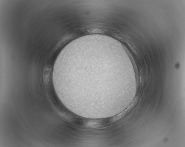 X0000116550171201001211209