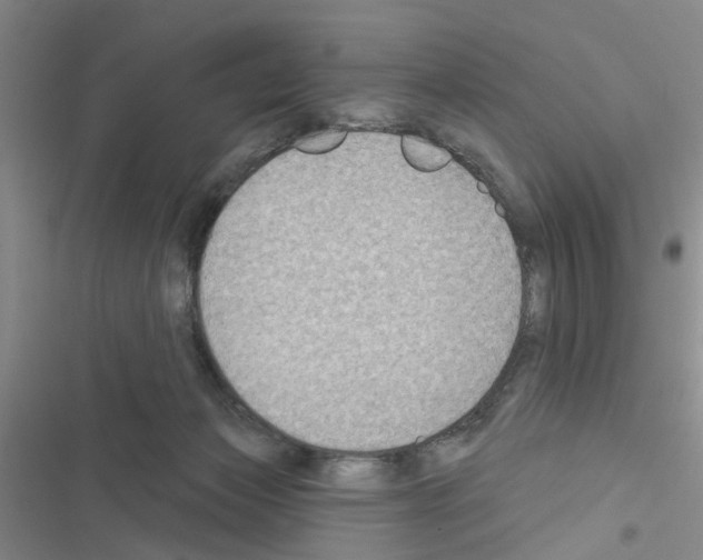 X0000116550173201001211209