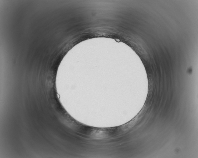 X0000116550174201001211209