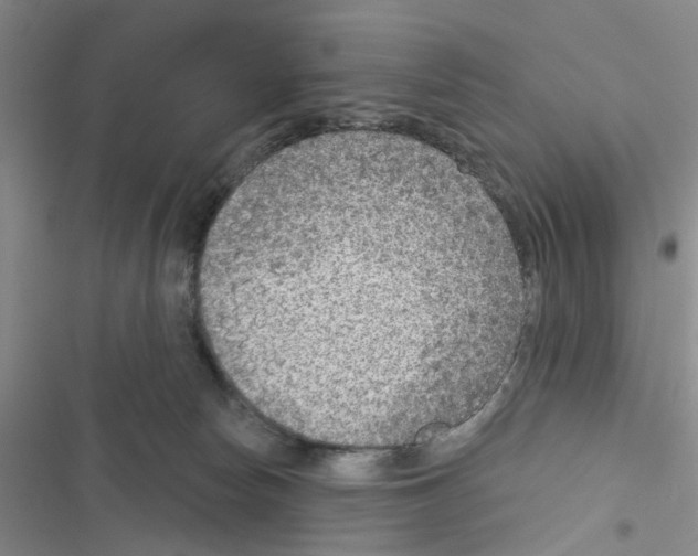 X0000116550178201001211209