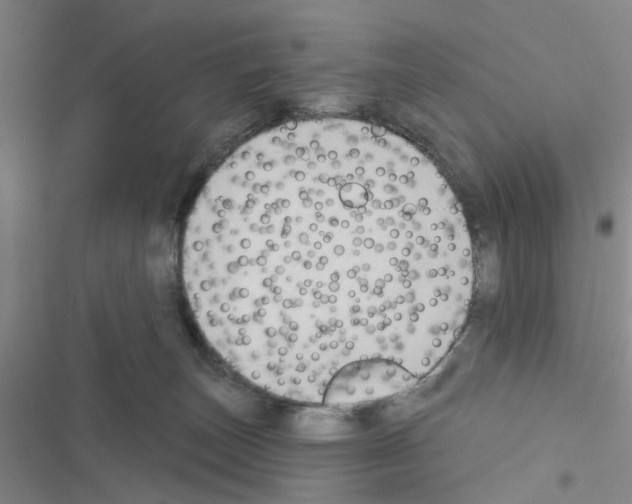 X0000116550179201001211209