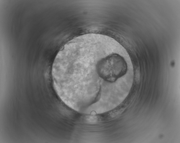 X0000116550181201001211209