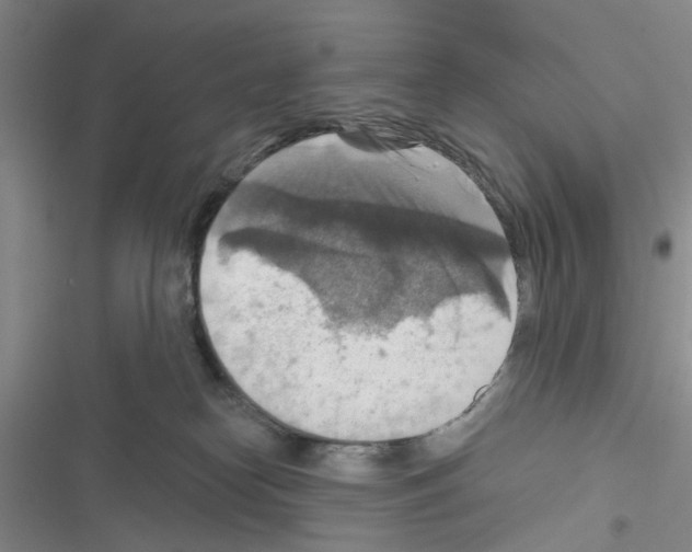 X0000116550182201001211209