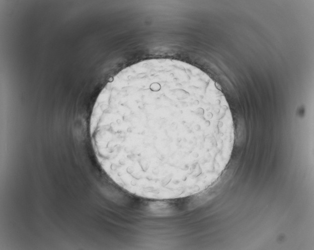 X0000116550183201001211209