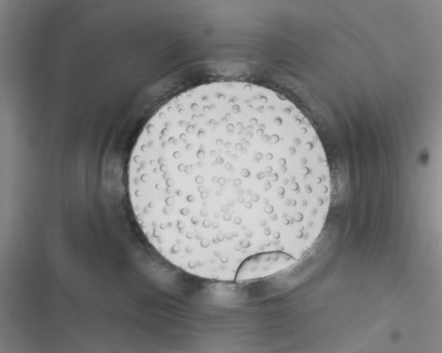 X0000116550187201001211209