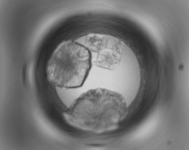 X0000116550189201001211209