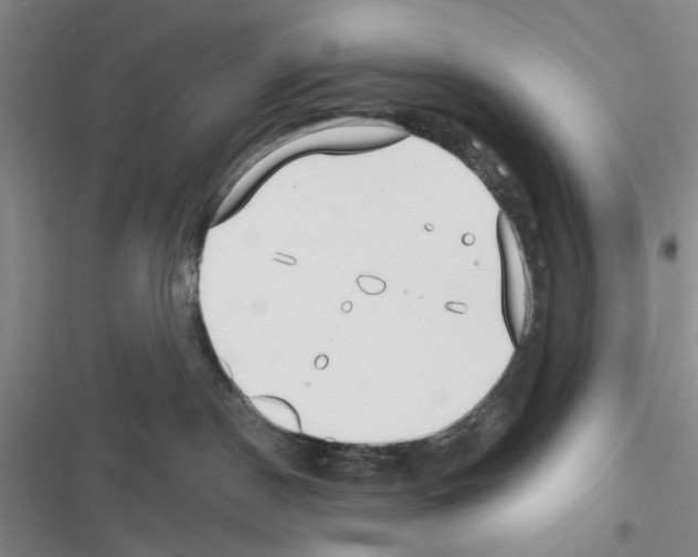 X0000116550190201001211209