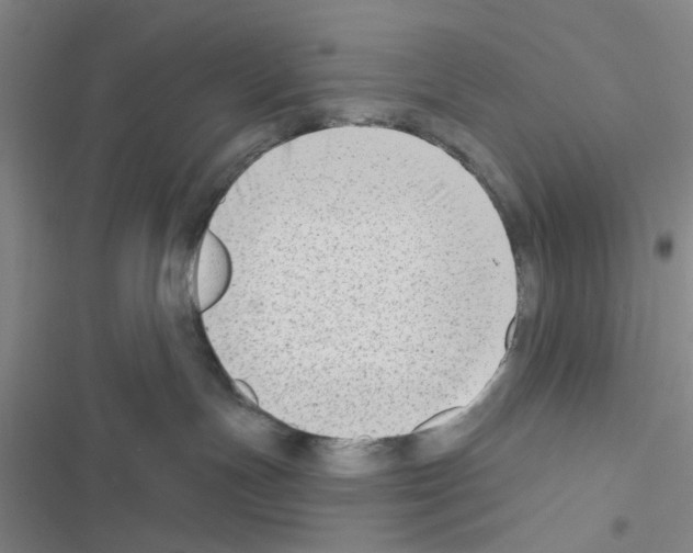 X0000116550191201001211209