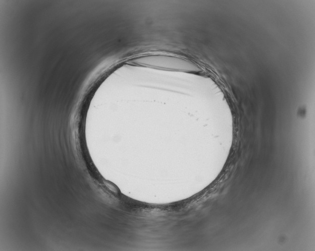 X0000116550197201001211209