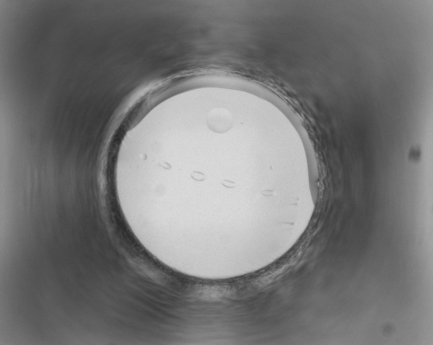 X0000116550200201001211209