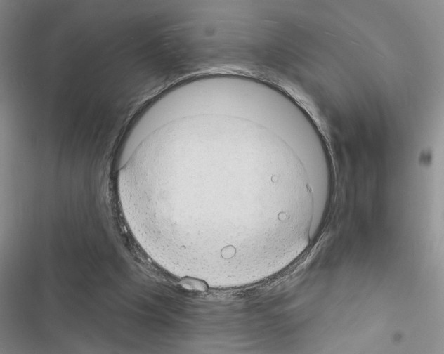 X0000116550201201001211209