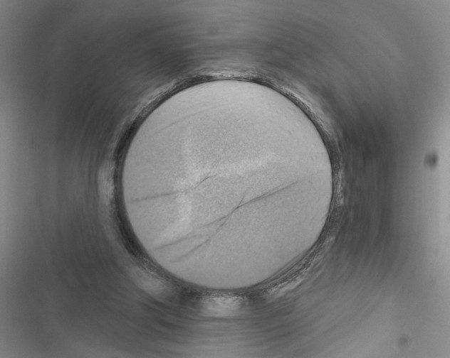 X0000116550202201001211209