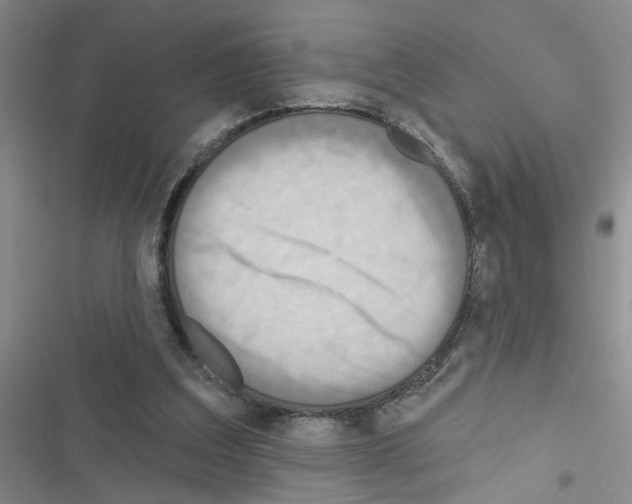 X0000116550203201001211209