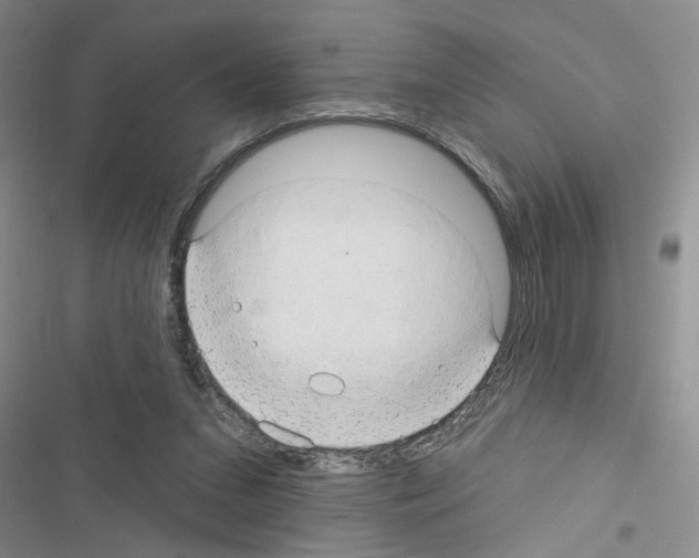 X0000116550207201001211209