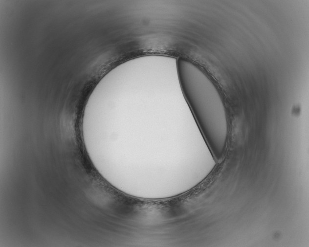 X0000116550209201001211209