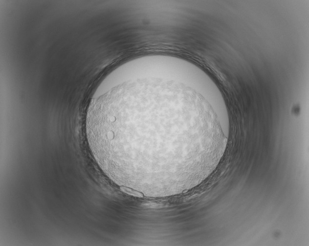 X0000116550211201001211208