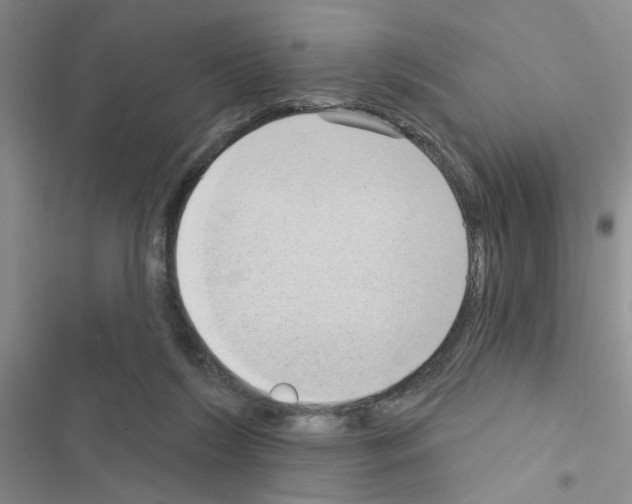 X0000116550212201001211208