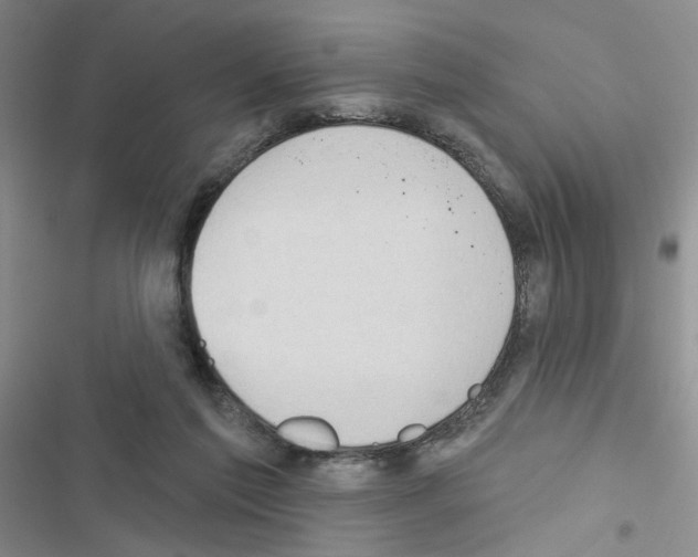 X0000116550213201001211208