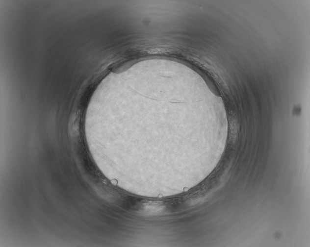 X0000116550214201001211208