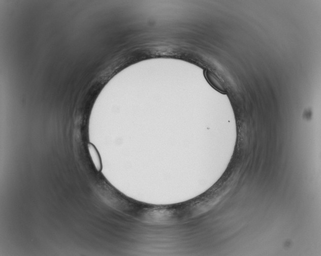 X0000116550217201001211208