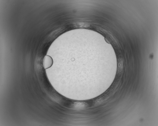 X0000116550218201001211208