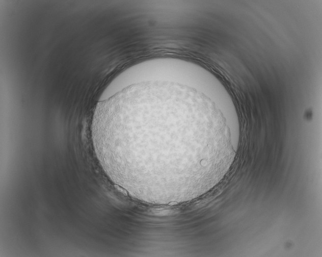 X0000116550219201001211208