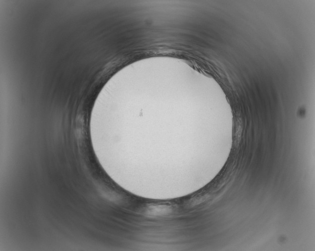 X0000116550220201001211208