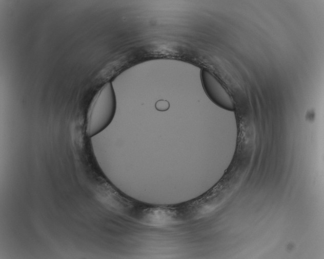 X0000116550223201001211208