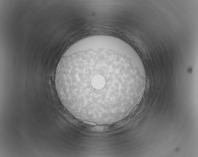 X0000116550225201001211208