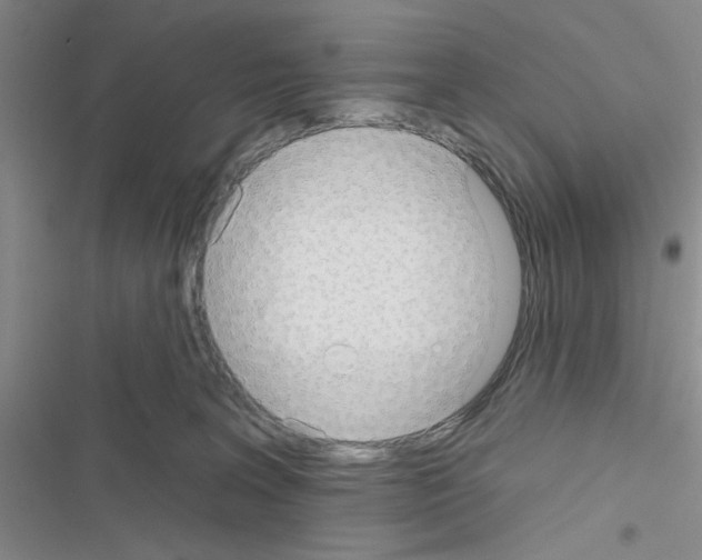 X0000116550227201001211208