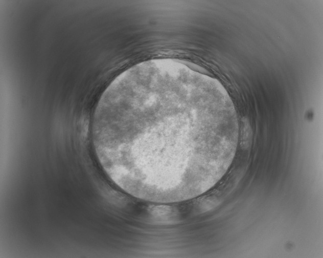 X0000116550230201001211208