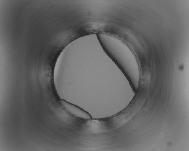 X0000116550231201001211208