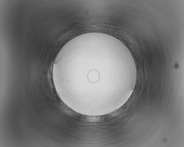 X0000116550233201001211208