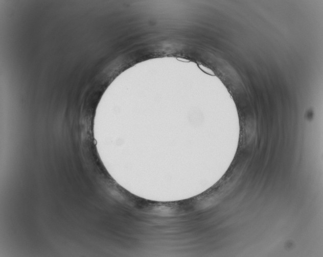 X0000116550236201001211208