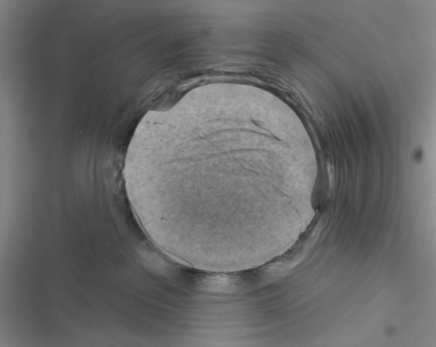 X0000116550237201001211208